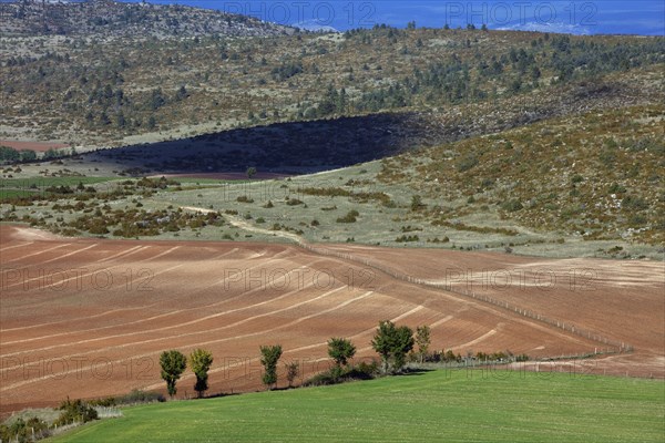 Causse Méjean landscape, Lozère