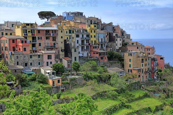 Corniglia, Italy