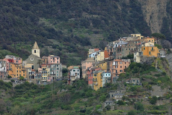 Corniglia, Italie