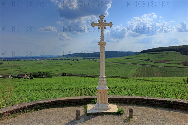 Aloxe-Corton, Côte d'Or