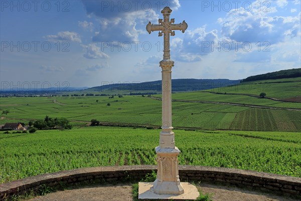 Aloxe-Corton, Côte d'Or