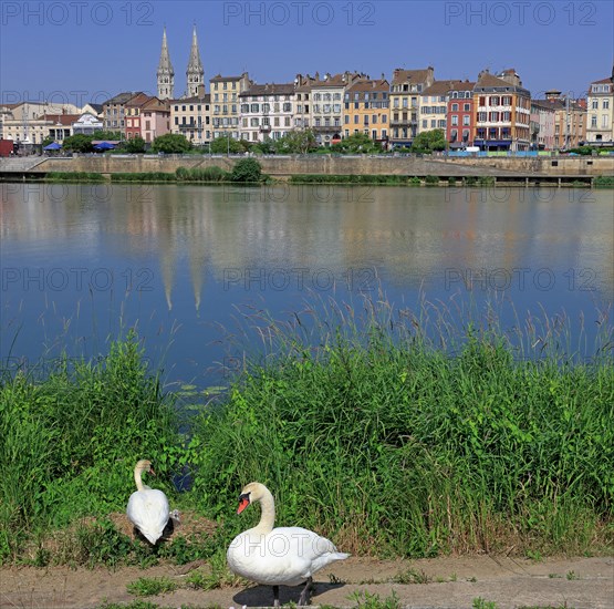 Mâcon, Saône-et-Loire