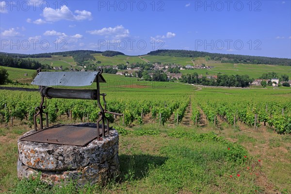 Mercurey, Saône-et-Loire