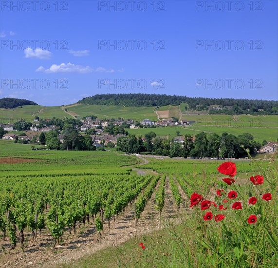 Mercurey, Saône-et-Loire