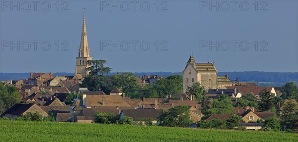 Meursault, Côte d'Or