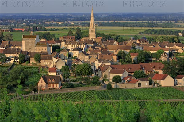 Meursault, Côte d'Or