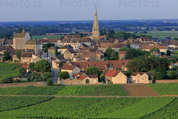 Meursault, Côte d'Or