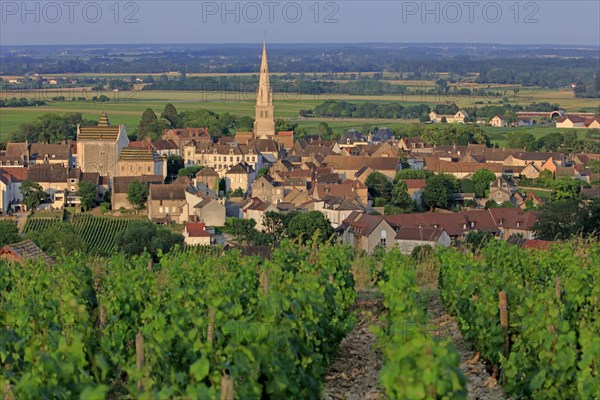 Meursault, Côte d'Or