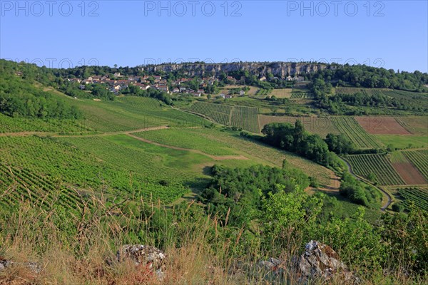 Orches, Baubigny, Côte d'Or