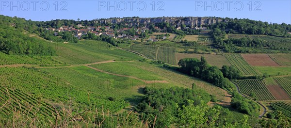 Orches, Baubigny, Côte d'Or