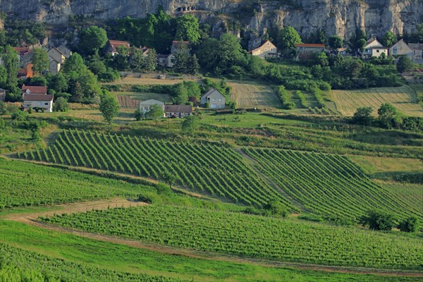 Orches, Baubigny, Côte d'Or