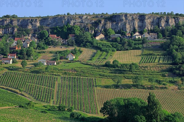 Orches, Baubigny, Côte d'Or