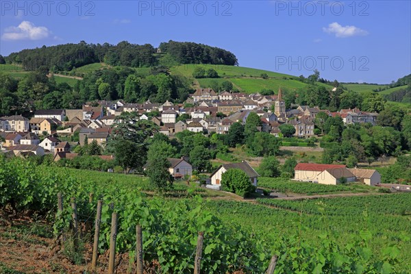 Pernand-Vergelesse, Côte d'Or