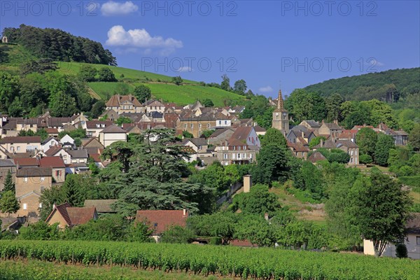 Pernand-Vergelesse, Côte d'Or