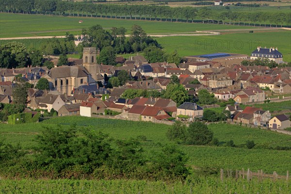 Pommard, Côte d'Or