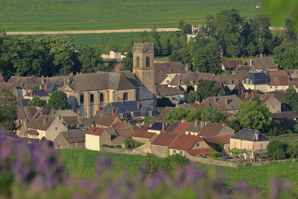 Pommard, Côte d'Or