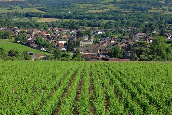 Santenay, Côte d'Or