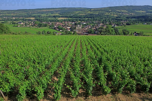 Santenay, Côte d'Or