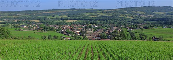 Santenay, Côte d'Or