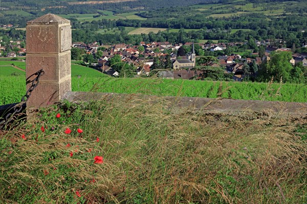 Santenay, Côte d'Or