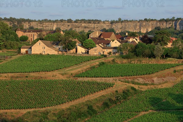 Saint-Romain, Côte d'Or