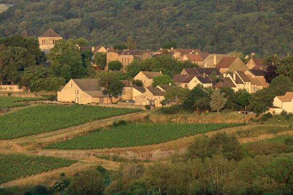 Saint-Romain, Côte d'Or