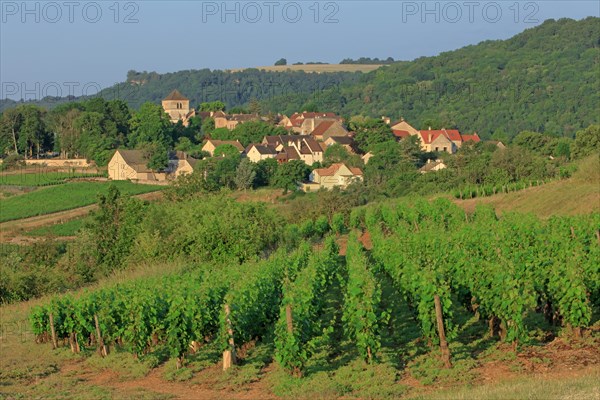 Saint-Romain, Côte d'Or