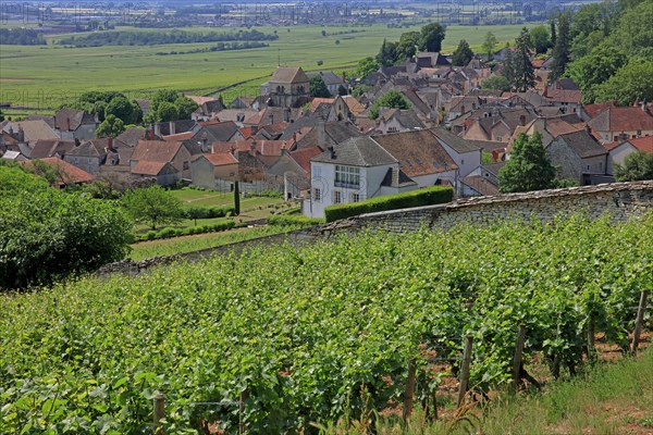 Volnay, Côte d'Or