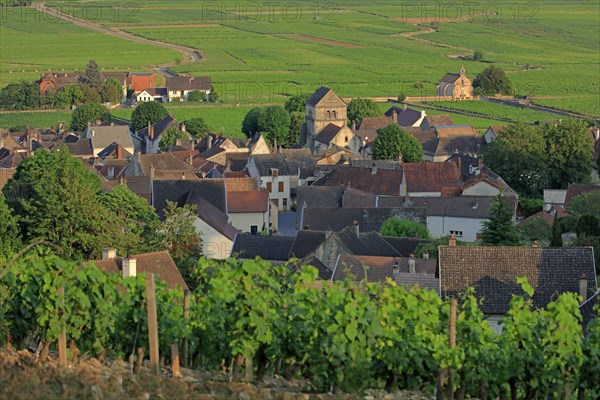 Volnay, Côte d'Or