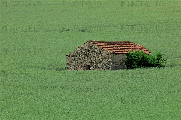 Maison au milieu d'un champ, Côte d'Or