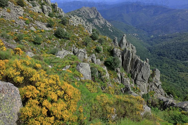 Landscape in Lozère