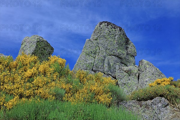 Landscape in Lozère