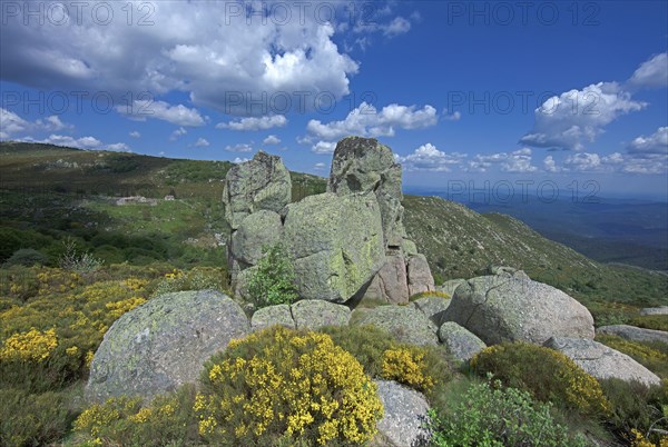 Landscape in Lozère