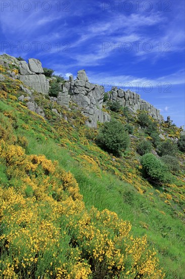 Landscape in Lozère