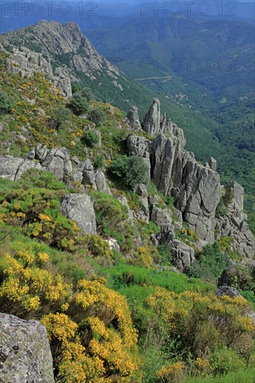 Paysage du Mont Lozère