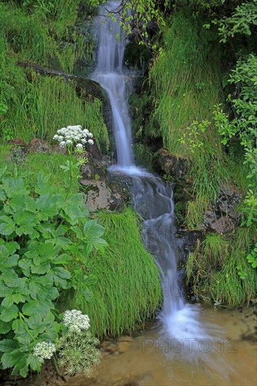 Waterfall in Lozère