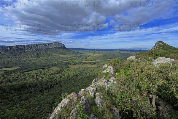 Cazevieille, Hérault