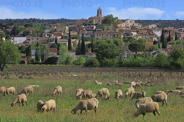 Pourrières, Var