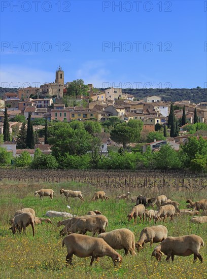 Pourrières, Var