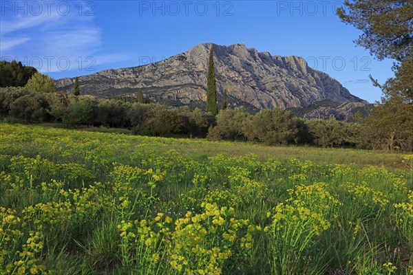 Puyloubier, Bouches-du-Rhône