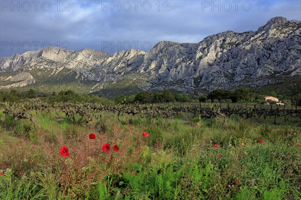 Puyloubier, Bouches-du-Rhône