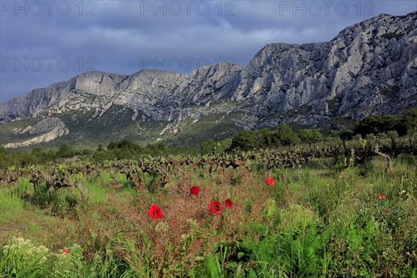 Puyloubier, Bouches-du-Rhône