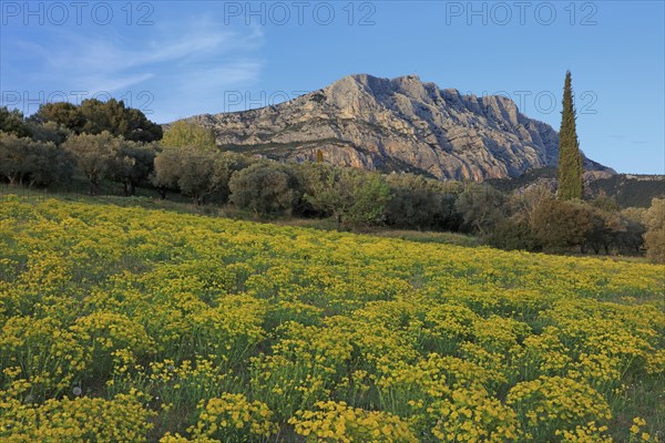 Puyloubier, Bouches-du-Rhône