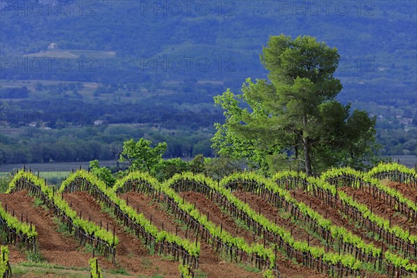 Puyloubier, Bouches-du-Rhône