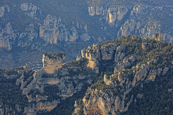 Landscape in the Cévennes, Aveyron