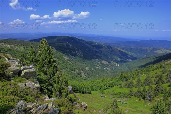 Landscape in the Cévennes, Gard