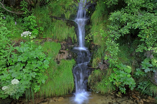 Cascade en Lozère