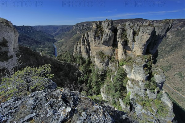 Landscape in the Cévennes, Aveyron