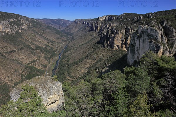 Gorges du Tarn, Aveyron