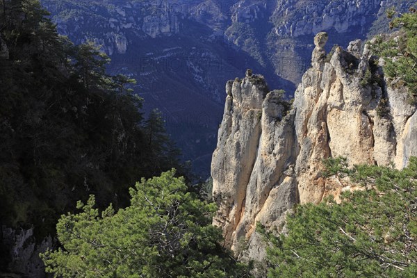 Gorges du Tarn, Aveyron